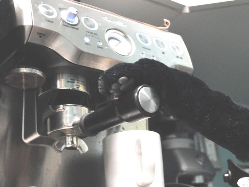 Kazul Mouseslayer III