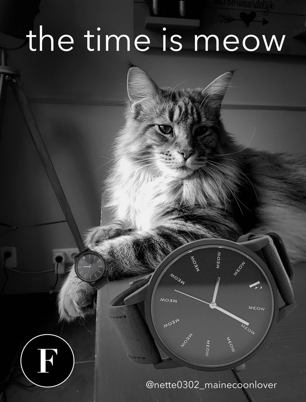 Time Is Meow watch